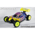 New Arrival 2.4G 1/10 Scale High Speed Nitro RC Car